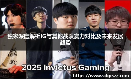 独家深度解析IG与其他战队实力对比及未来发展趋势